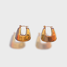Load image into Gallery viewer, Horseshoe Hoop Earrings
