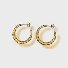 Load image into Gallery viewer, Snake Skin Hoops
